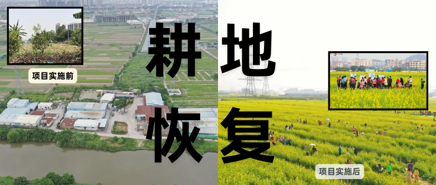 耕地；；；；；；；；び刖蒙す踩凇甘泻窠终蛩谏缜读继锵钅扛鼗指从氤窍缛诤系牧⒁焓导