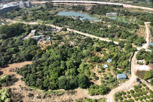 政策解读+实战案例！广东永农纠错新政落地，，，，，，万利国际官网助镇街破局耕地；；；；；；；；